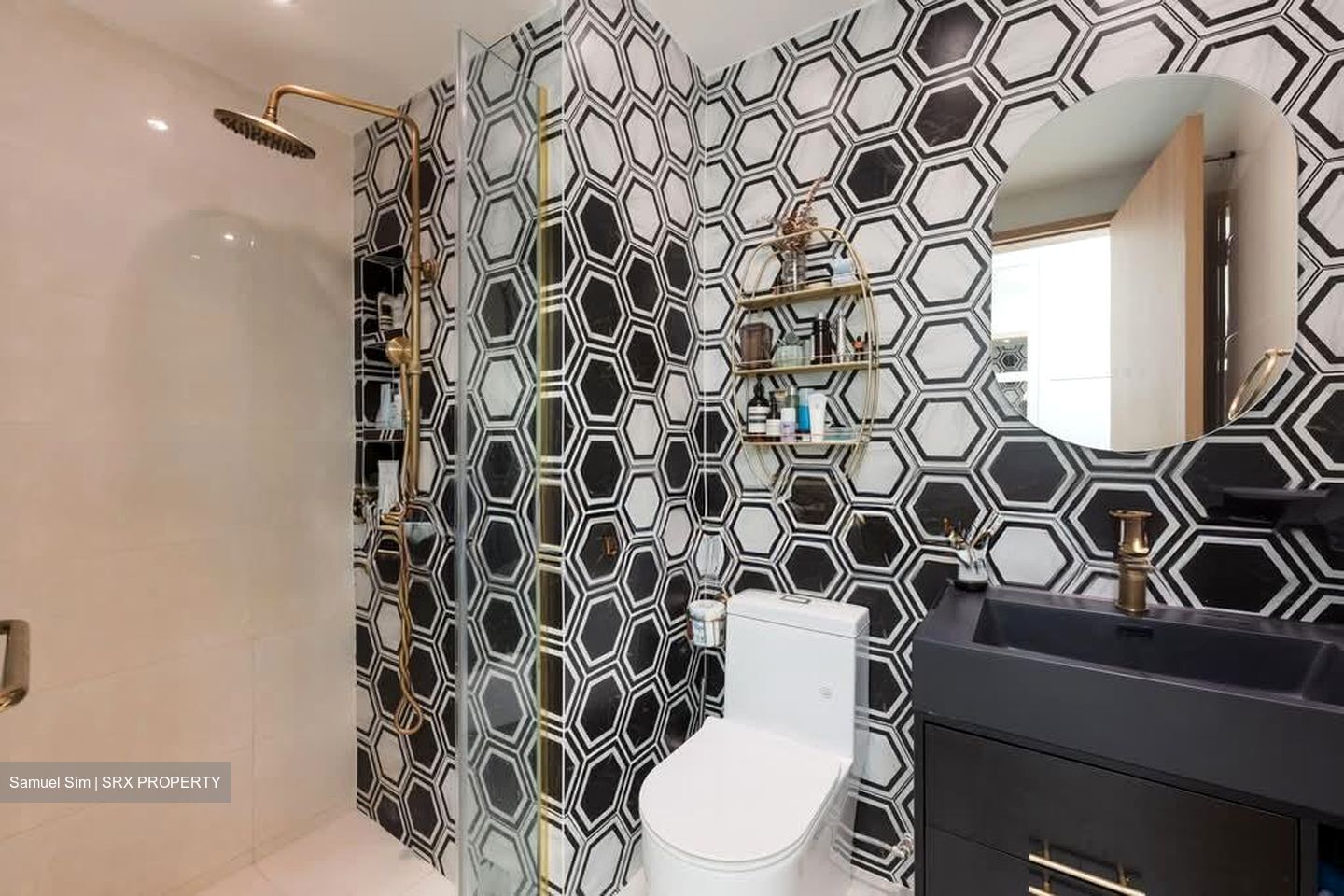 Twin Fountains (D25), Condominium #589896571